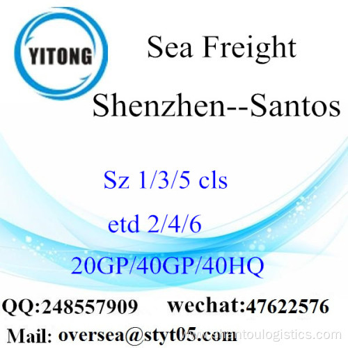 Shenzhen Port Sea Freight Shipping To Santos